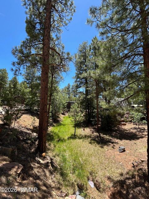 Tiny photo for 2240 E Lariat Way, Show Low, AZ 85901 (MLS # 261487)