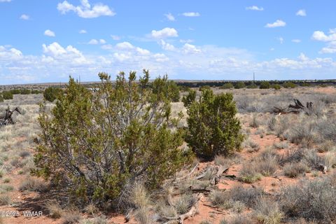 Tiny photo for Lot 020E E 24th North Street, Snowflake, AZ 85937 (MLS # 255618)