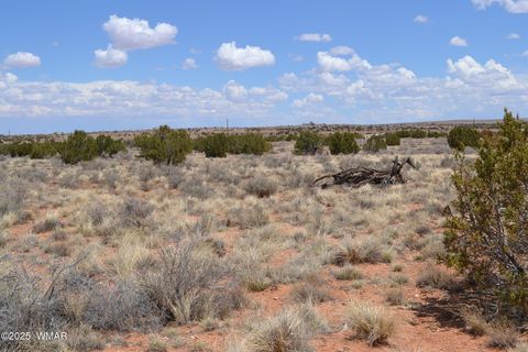 Tiny photo for Lot 020E E 24th North Street, Snowflake, AZ 85937 (MLS # 255618)