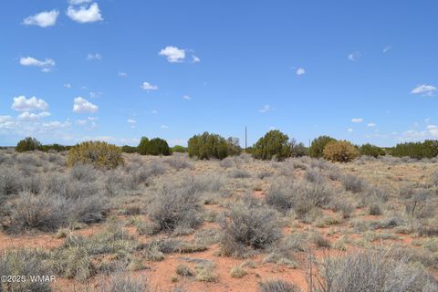 Tiny photo for Lot 020E E 24th North Street, Snowflake, AZ 85937 (MLS # 255618)