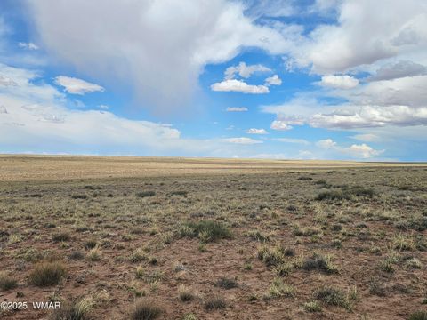 Tiny photo for Lot 42 S Tovar Avenue, Holbrook, AZ 86025 (MLS # 242854)