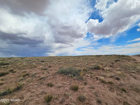 Tiny photo for Lot 42 S Tovar Avenue, Holbrook, AZ 86025 (MLS # 242854)