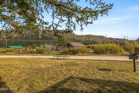 Tiny photo for 87 1120 Unit 4, Greer, AZ 85927 (MLS # 258860)