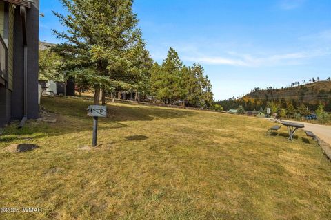 Tiny photo for 87 1120 Unit 4, Greer, AZ 85927 (MLS # 258860)