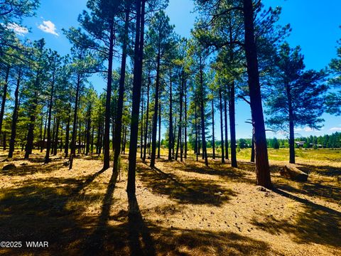 Photo of 9578 Sierra Springs Drive, Pinetop, AZ 85935 (MLS # 256562)