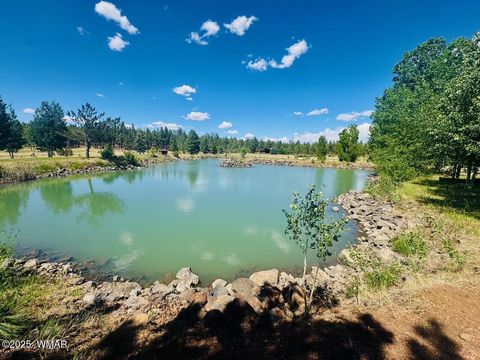 Tiny photo for 9578 Sierra Springs Drive, Pinetop, AZ 85935 (MLS # 256562)