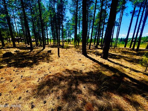Tiny photo for 9578 Sierra Springs Drive, Pinetop, AZ 85935 (MLS # 256562)