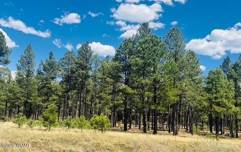 Tiny photo for 9578 Sierra Springs Drive, Pinetop, AZ 85935 (MLS # 256562)