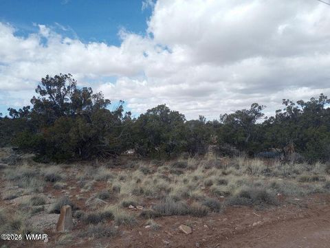Photo of 3958 Apache Road, Snowflake, AZ 85937 (MLS # 254804)