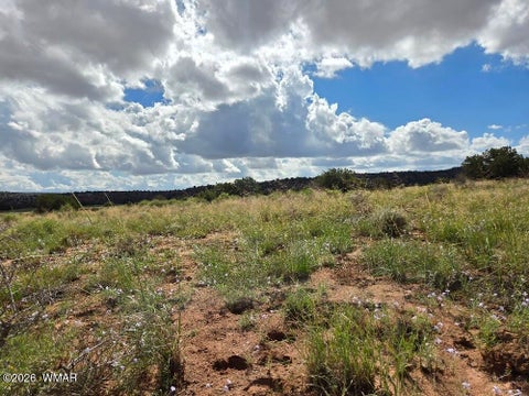 Tiny photo for 3861 Coronado Road, Snowflake, AZ 85937 (MLS # 263044)