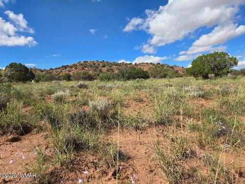Photo of 3861 Coronado Road, Snowflake, AZ 85937 (MLS # 263044)