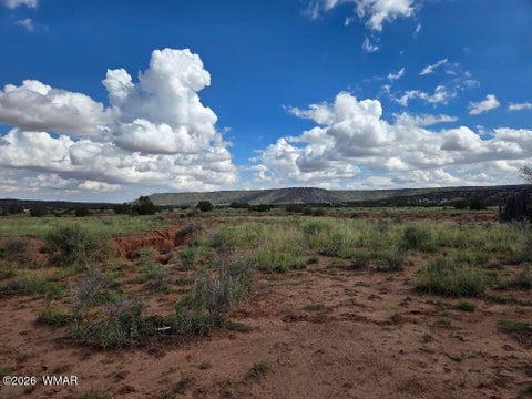 Tiny photo for 3861 Coronado Road, Snowflake, AZ 85937 (MLS # 263044)