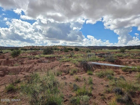 Tiny photo for 3861 Coronado Road, Snowflake, AZ 85937 (MLS # 263044)