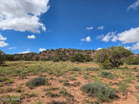 Tiny photo for 3861 Coronado Road, Snowflake, AZ 85937 (MLS # 263044)