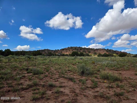 Tiny photo for 3861 Coronado Road, Snowflake, AZ 85937 (MLS # 263044)