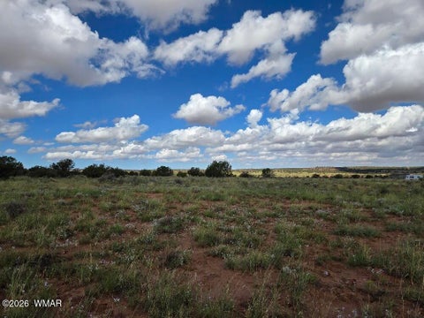 Tiny photo for 3861 Coronado Road, Snowflake, AZ 85937 (MLS # 263044)