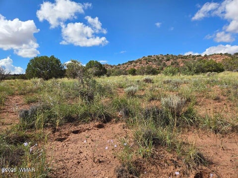 Tiny photo for 3861 Coronado Road, Snowflake, AZ 85937 (MLS # 263044)