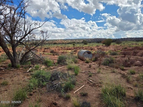 Tiny photo for 3861 Coronado Road, Snowflake, AZ 85937 (MLS # 263044)