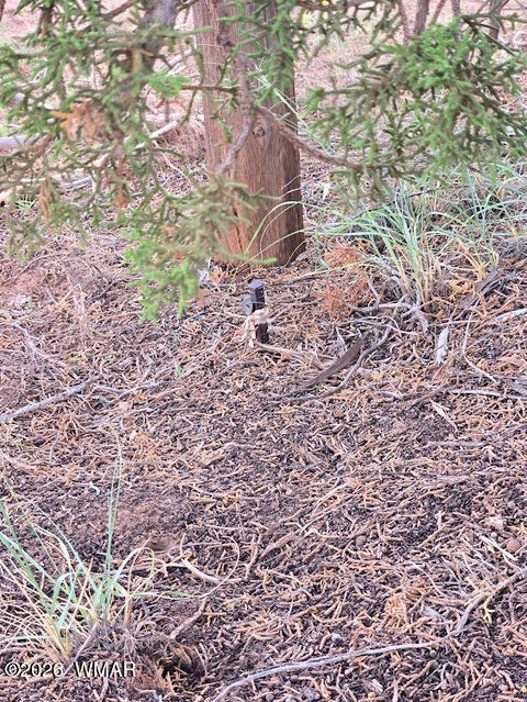 Tiny photo for 3861 Coronado Road, Snowflake, AZ 85937 (MLS # 263044)