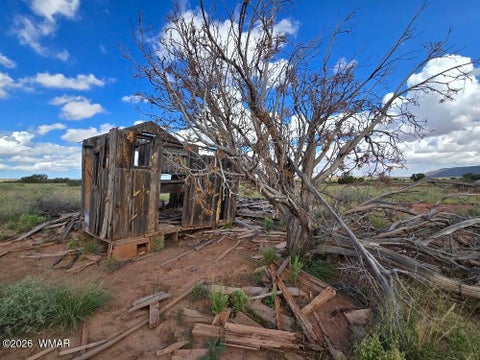 Tiny photo for 3861 Coronado Road, Snowflake, AZ 85937 (MLS # 263044)