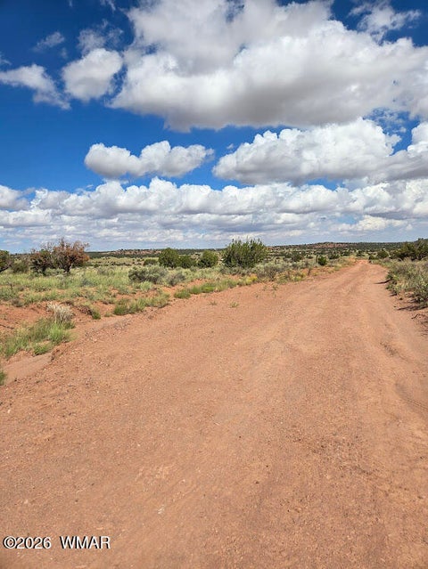 Tiny photo for 3861 Coronado Road, Snowflake, AZ 85937 (MLS # 263044)