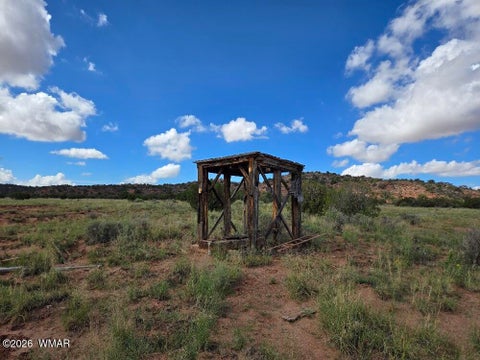 Tiny photo for 3861 Coronado Road, Snowflake, AZ 85937 (MLS # 263044)