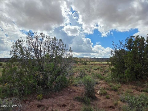 Tiny photo for 3861 Coronado Road, Snowflake, AZ 85937 (MLS # 263044)