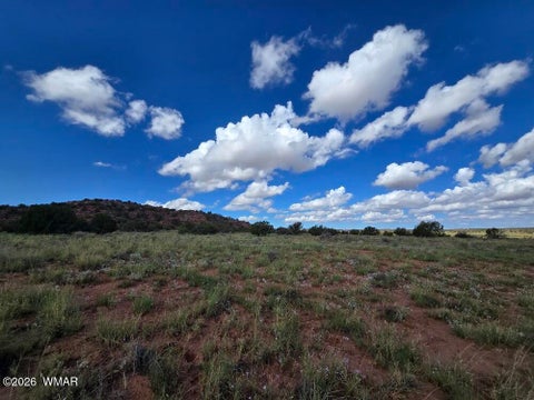 Tiny photo for 3861 Coronado Road, Snowflake, AZ 85937 (MLS # 263044)