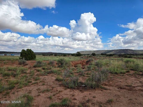 Tiny photo for 3861 Coronado Road, Snowflake, AZ 85937 (MLS # 263044)