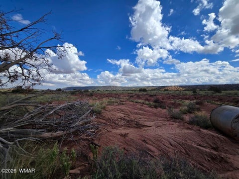 Tiny photo for 3861 Coronado Road, Snowflake, AZ 85937 (MLS # 263044)