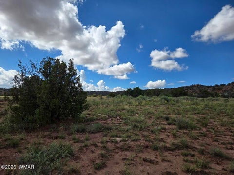 Tiny photo for 3861 Coronado Road, Snowflake, AZ 85937 (MLS # 263044)