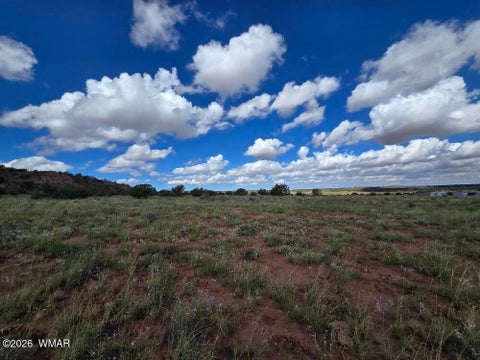 Tiny photo for 3861 Coronado Road, Snowflake, AZ 85937 (MLS # 263044)