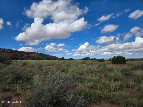 Tiny photo for 3861 Coronado Road, Snowflake, AZ 85937 (MLS # 263044)