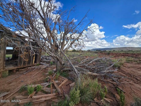 Tiny photo for 3861 Coronado Road, Snowflake, AZ 85937 (MLS # 263044)