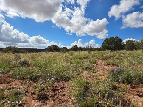 Tiny photo for 3861 Coronado Road, Snowflake, AZ 85937 (MLS # 263044)