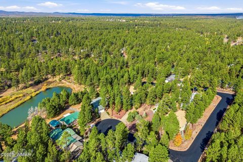 Tiny photo for 2360 W Pioneer Court, Show Low, AZ 85901 (MLS # 258658)