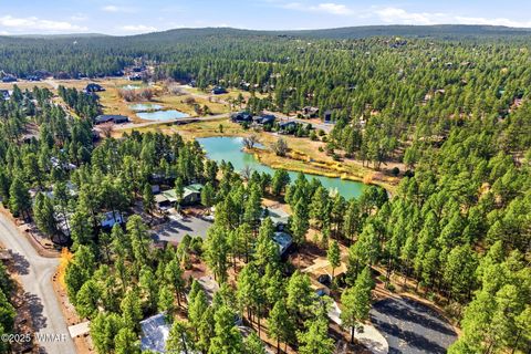 Tiny photo for 2360 W Pioneer Court, Show Low, AZ 85901 (MLS # 258658)