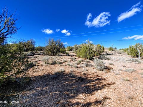 Tiny photo for Parcels123 W Shumway Rd, Taylor, AZ 85939 (MLS # 258770)