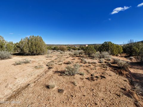Tiny photo for Parcels123 W Shumway Rd, Taylor, AZ 85939 (MLS # 258770)