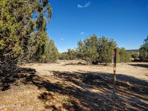 Tiny photo for Parcels123 W Shumway Rd, Taylor, AZ 85939 (MLS # 258770)