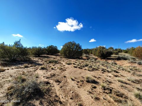 Tiny photo for Parcels123 W Shumway Rd, Taylor, AZ 85939 (MLS # 258770)