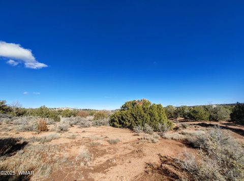 Tiny photo for Parcels123 W Shumway Rd, Taylor, AZ 85939 (MLS # 258770)