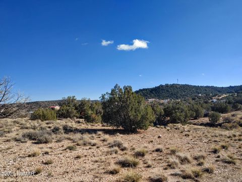 Tiny photo for Parcels123 W Shumway Rd, Taylor, AZ 85939 (MLS # 258770)