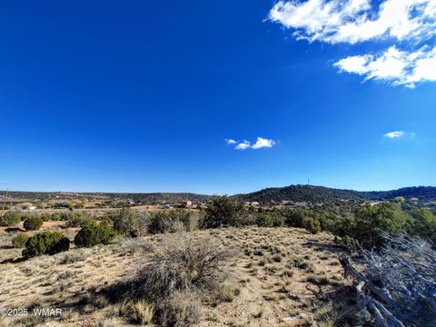 Tiny photo for Parcels123 W Shumway Rd, Taylor, AZ 85939 (MLS # 258770)