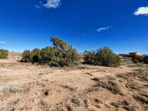 Tiny photo for Parcels123 W Shumway Rd, Taylor, AZ 85939 (MLS # 258770)