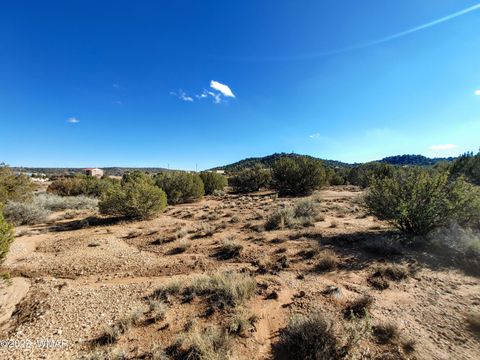 Tiny photo for Parcels123 W Shumway Rd, Taylor, AZ 85939 (MLS # 258770)