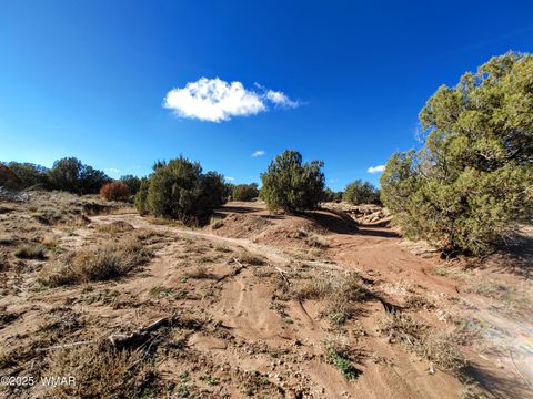 Tiny photo for Parcels123 W Shumway Rd, Taylor, AZ 85939 (MLS # 258770)