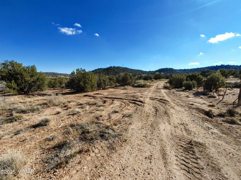 Tiny photo for Parcels123 W Shumway Rd, Taylor, AZ 85939 (MLS # 258770)