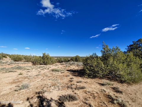 Tiny photo for Parcels123 W Shumway Rd, Taylor, AZ 85939 (MLS # 258770)