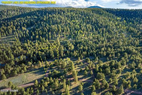 Tiny photo for 10 N 1337, Greer, AZ 85927 (MLS # 257047)
